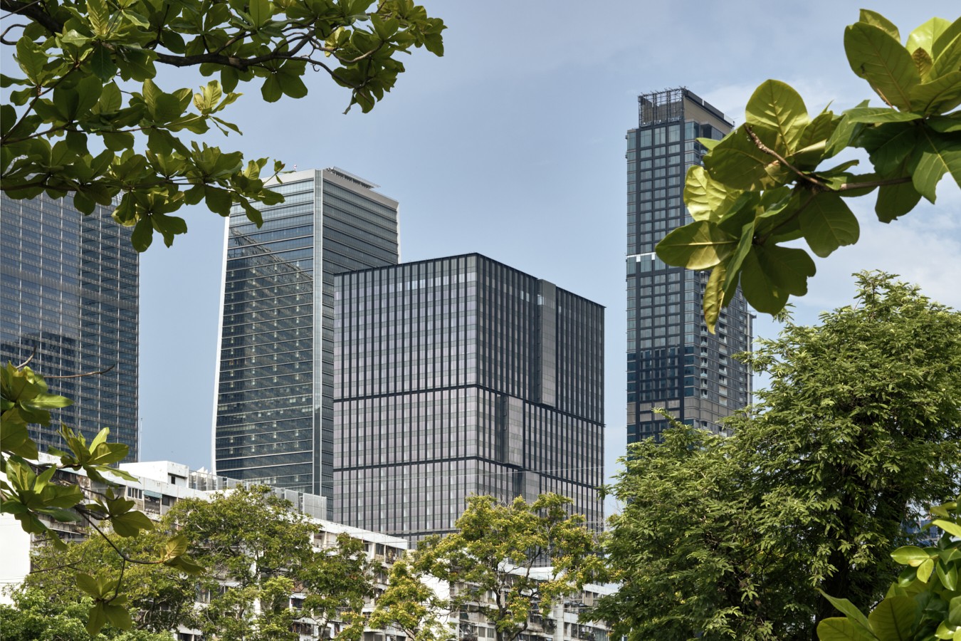 One tree in a green space or open area absorbs approximately 22 kilograms of CO₂ annually.